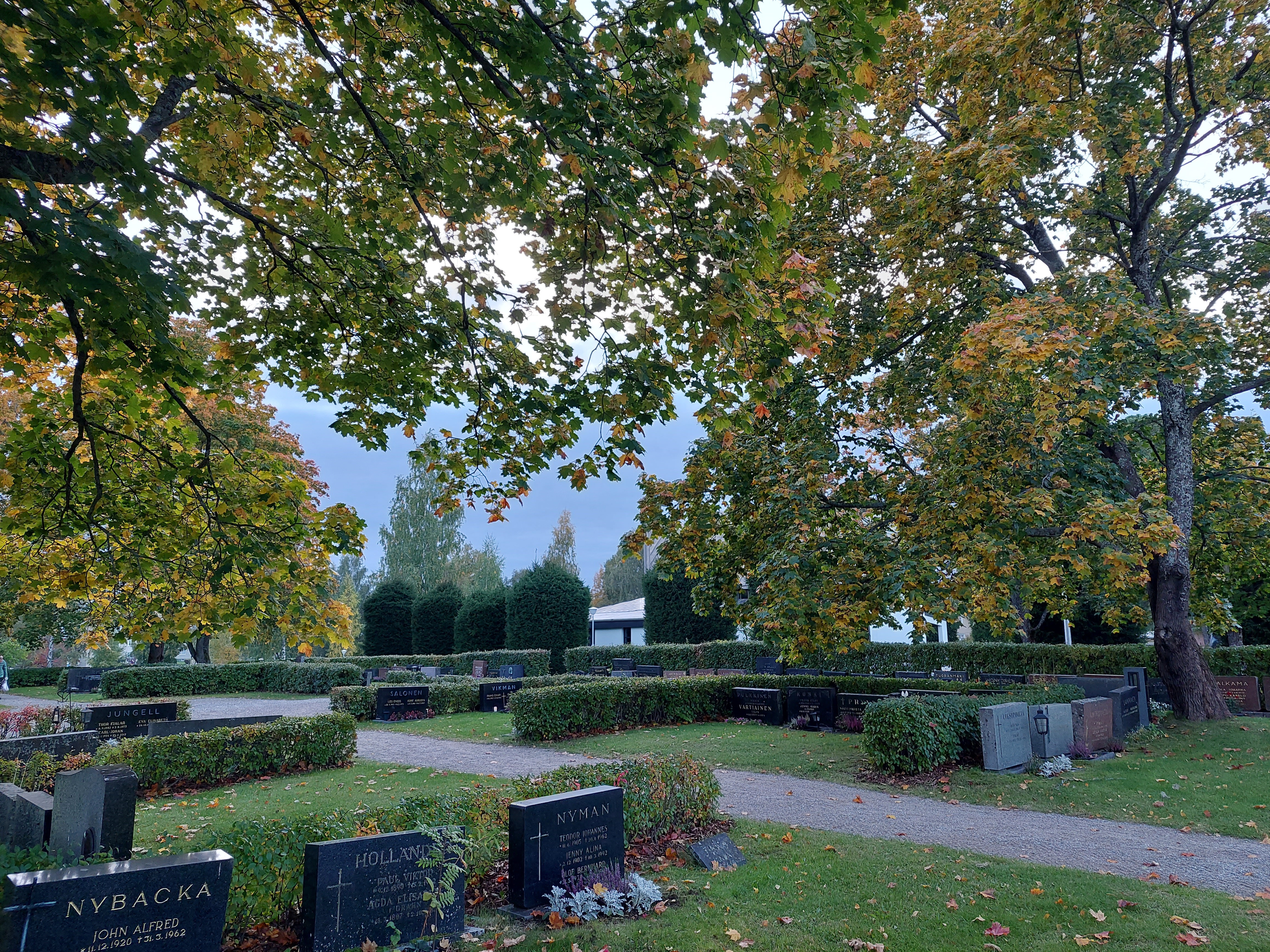 Jakobstads begravningsplats i höstfärger. Johanneskapellet skymtar mellan de gulgröna lönnarna.
